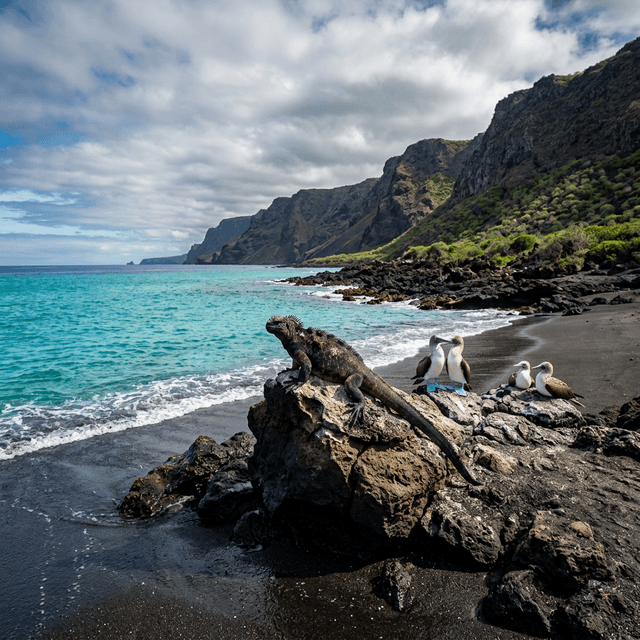 Galápagos wildlife rankings